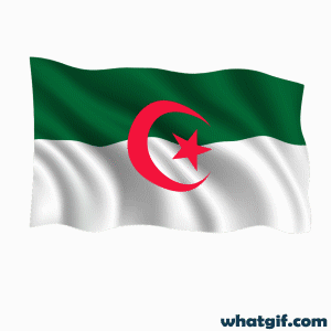 Download Free Animated Algerian Flag GIFs Today | WhatGif 3 Algeria flag aniamted gif.gif