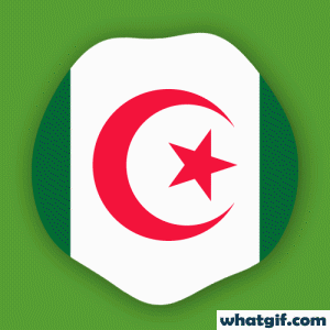 Download Free Animated Algerian Flag GIFs Today | WhatGif 7 Algeria flag beautiful gif.gif