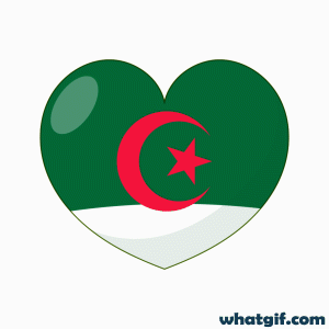 Download Free Animated Algerian Flag GIFs Today | WhatGif 10 Algeria flag heart gif.gif