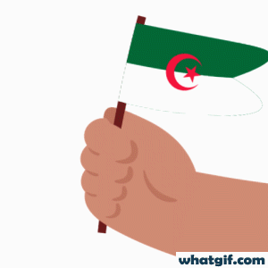 Download Free Animated Algerian Flag GIFs Today | WhatGif 11 Algeria flag in hand gif.gif
