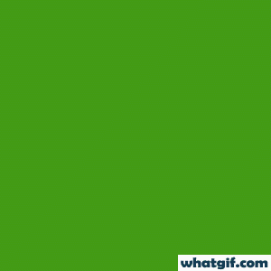 Download Free Animated Algerian Flag GIFs Today | WhatGif 14 Algeria flag star gif.gif