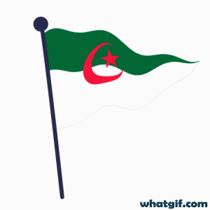Download Free Animated Algerian Flag GIFs Today | WhatGif 15 Algeria flag stylish gifs.gif
