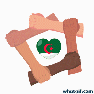 Download Free Animated Algerian Flag GIFs Today | WhatGif 16 Algeria flag union gif.gif