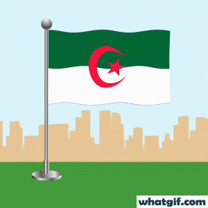 Download Free Animated Algerian Flag GIFs Today | WhatGif 17 Algeria flag waving gif.gif