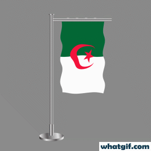 Download Free Animated Algerian Flag GIFs Today | WhatGif 18 Algeria flag.gif