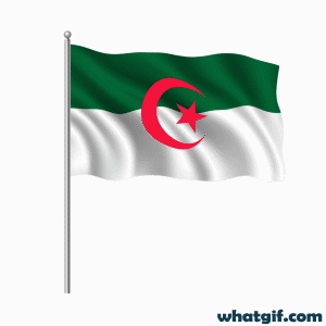 Download Free Animated Algerian Flag GIFs Today | WhatGif 19 Algeria realistic flag gif.gif