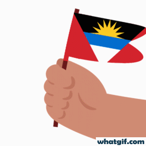 Download 25+ Antiqua and Barbuda Flag GIFs for Free at WhatGif 13 Antigua and barbuda flag in hand gif