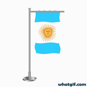 25+ Free Argentina Flag GIFs: Download Now | WhatGIF 20 Argentina flag