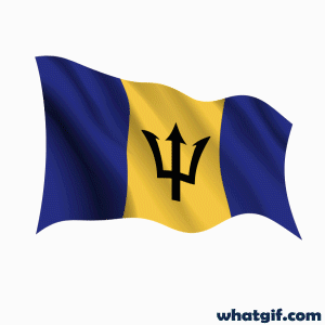 Download 25+ Vibrant Barbados Flag GIFs Free | WhatGif 5 Barbados flag animated gif