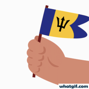 Download 25+ Vibrant Barbados Flag GIFs Free | WhatGif 13 Barbados flag in hand gif