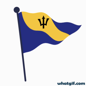 Download 25+ Vibrant Barbados Flag GIFs Free | WhatGif 17 Barbados flag stylish gifs