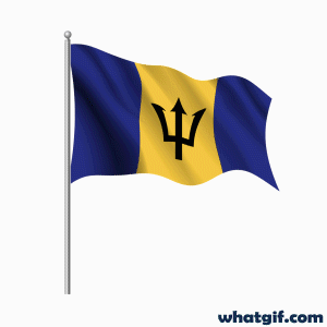 Download 25+ Vibrant Barbados Flag GIFs Free | WhatGif 21 Barbados realistic flag gif