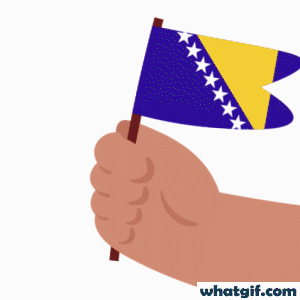 Free Bosnia & Herzegovina Flag GIFs on WhatGif 13 Bosnia and Herzegovina flag in hand gif