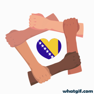Free Bosnia & Herzegovina Flag GIFs on WhatGif 8 Bosnia and Herzegovina flag union gif