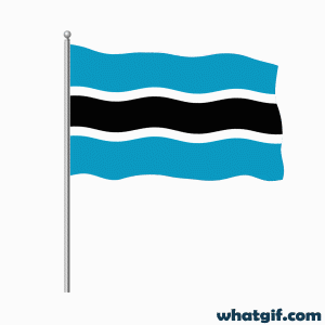 Download 25+ Free Botswana Flag GIFs at WhatGif 4 Botswana flag amazing gif