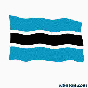 Download 25+ Free Botswana Flag GIFs at WhatGif 5 Botswana flag aniamted gif