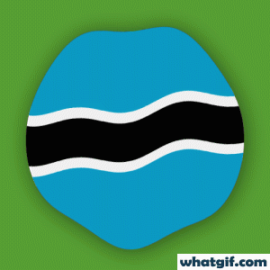 Download 25+ Free Botswana Flag GIFs at WhatGif 10 Botswana flag beautiful gif