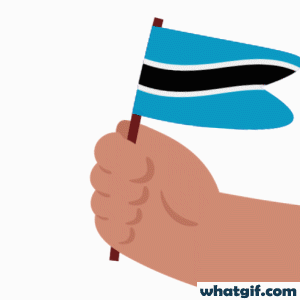 Download 25+ Free Botswana Flag GIFs at WhatGif 14 Botswana flag in hand gif