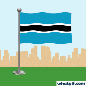 Download 25+ Free Botswana Flag GIFs at WhatGif 20 Botswana flag waving gif