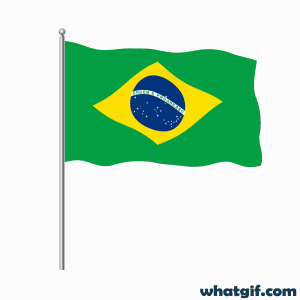 Explore 25+ Brazil Flag GIFs for Free on WhatGif 22 Brazil flag amazing gif
