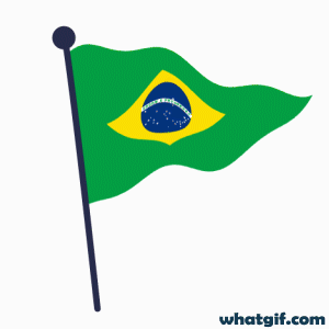 Explore 25+ Brazil Flag GIFs for Free on WhatGif 10 Brazil flag stylish gifs