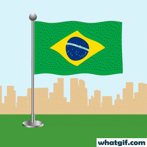 Explore 25+ Brazil Flag GIFs for Free on WhatGif 8 Brazil flag waving gif