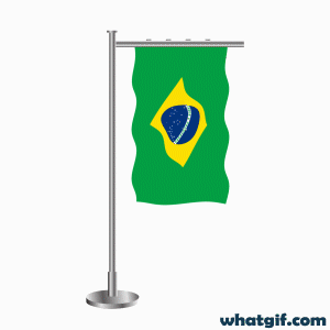 Explore 25+ Brazil Flag GIFs for Free on WhatGif 7 Brazil flag