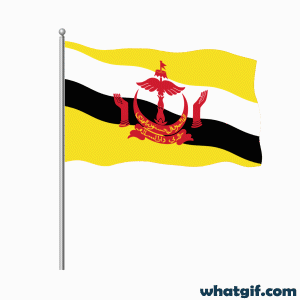 Download 25+ Brunei Flag GIFs for Free at WhatGif 22 Brunei flag amazing gif