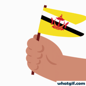 Download 25+ Brunei Flag GIFs for Free at WhatGif 12 Brunei flag in hand gif