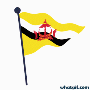 Download 25+ Brunei Flag GIFs for Free at WhatGif 8 Brunei flag stylish gifs