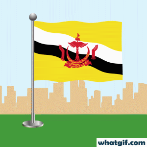 Download 25+ Brunei Flag GIFs for Free at WhatGif 6 Brunei flag waving gif