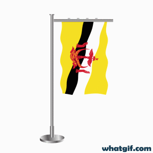 Download 25+ Brunei Flag GIFs for Free at WhatGif 5 Brunei flag