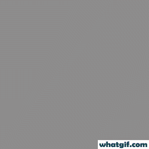 Free Bulgaria Heritage Flag GIFs on WhatGif 22 Bulgaria flag baloon gif