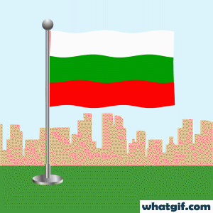 Free Bulgaria Heritage Flag GIFs on WhatGif 10 Bulgaria flag waving gif