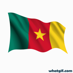 Free Cameroon Flag GIFs - Discover and Download Now 6 Cameroon flag aniamted gif.gif
