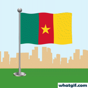 Free Cameroon Flag GIFs - Discover and Download Now 20 Cameroon flag waving gif.gif