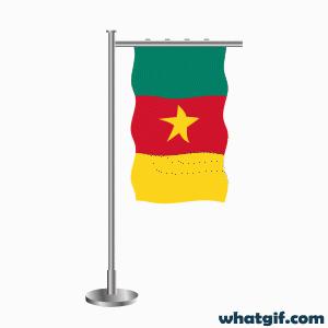 Free Cameroon Flag GIFs - Discover and Download Now 21 Cameroon flag.gif