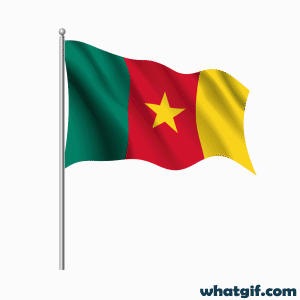 Free Cameroon Flag GIFs - Discover and Download Now 22 Cameroon realistic flag gif.gif
