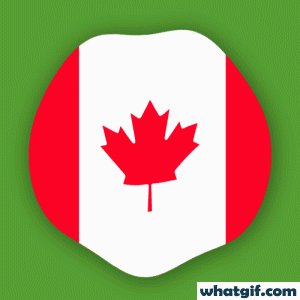 Download Free Animated Canada Flag GIFs | What GIF 10 Canada flag beautiful gif.gif