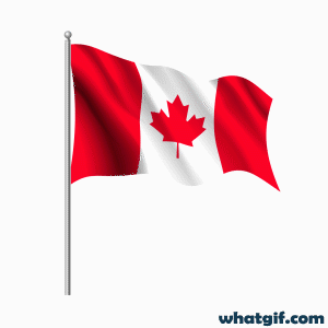 Download Free Animated Canada Flag GIFs | What GIF 22 Canada realistic flag gif.gif