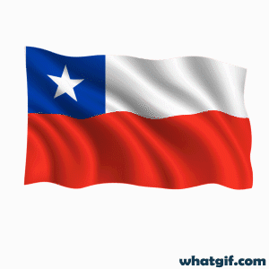 Free Animated Chile Flag GIFs to Download| WhatGIF 21 Chile flag aniamted gif