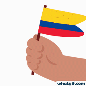 Download Colombia Flag GIFs Free | WhatGIF 14 Colombia flag in hand gif