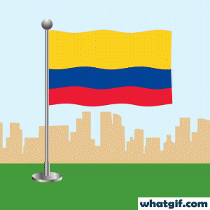 Download Colombia Flag GIFs Free | WhatGIF 20 Colombia flag waving gif
