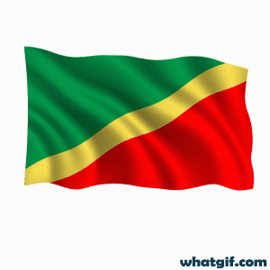 Download Free Congo Flag GIFs | WhatGIF 6 Congo flag aniamted gif