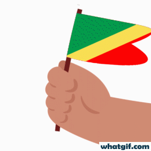 Download Free Congo Flag GIFs | WhatGIF 14 Congo flag in hand gif