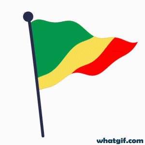 Download Free Congo Flag GIFs | WhatGIF 18 Congo flag stylish gifs