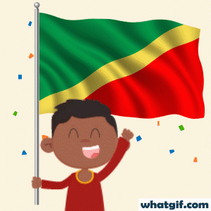 Download Free Congo Flag GIFs | WhatGIF 23 Congo representing gif