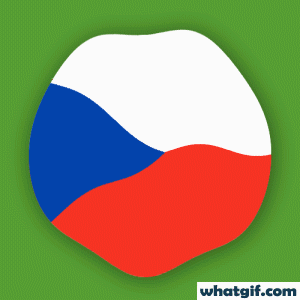 Discover & Download Free Czechia Flag GIFs | WhatGIF 11 Czechia flag beautiful gif