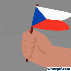 Discover & Download Free Czechia Flag GIFs | WhatGIF 15 Czechia flag in hand gif