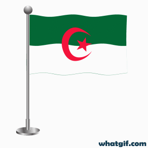 Download Free Animated Algerian Flag GIFs Today | WhatGif 22 animated Algeria flag .gif